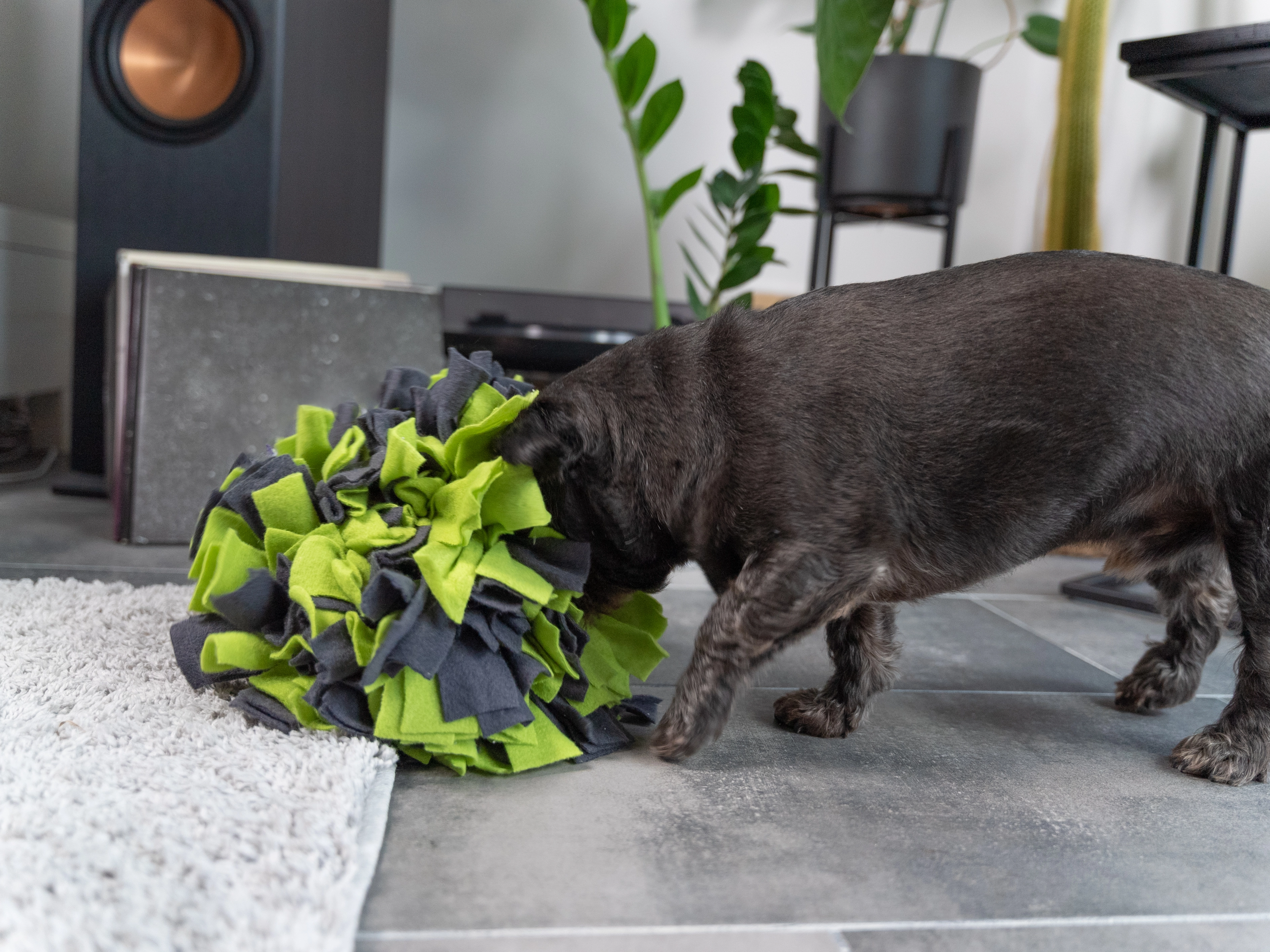 Schnüffelball von TrendPet