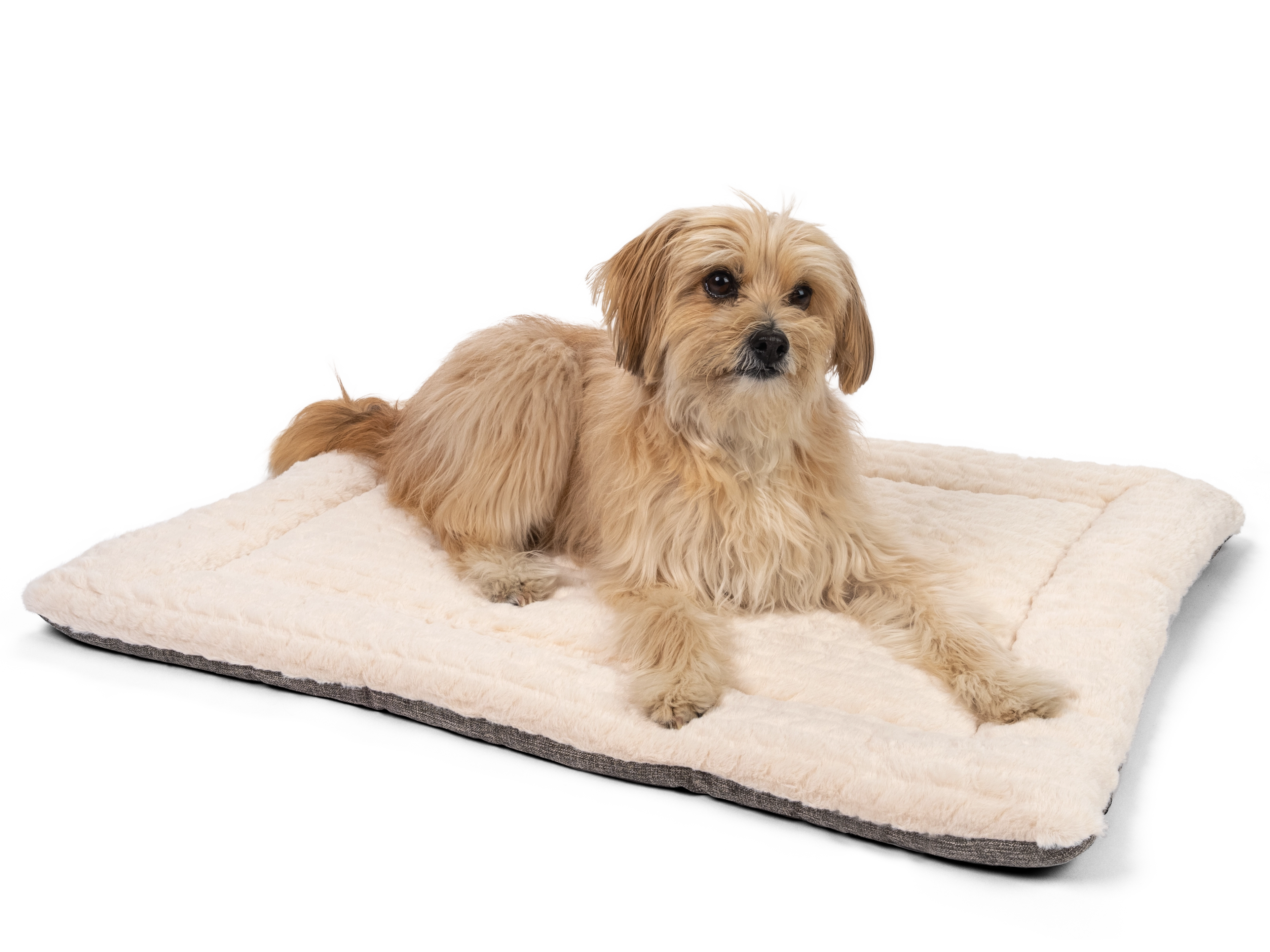 Heaven geposlterte Wendedecke für Hunde und Katzen von TrendPet