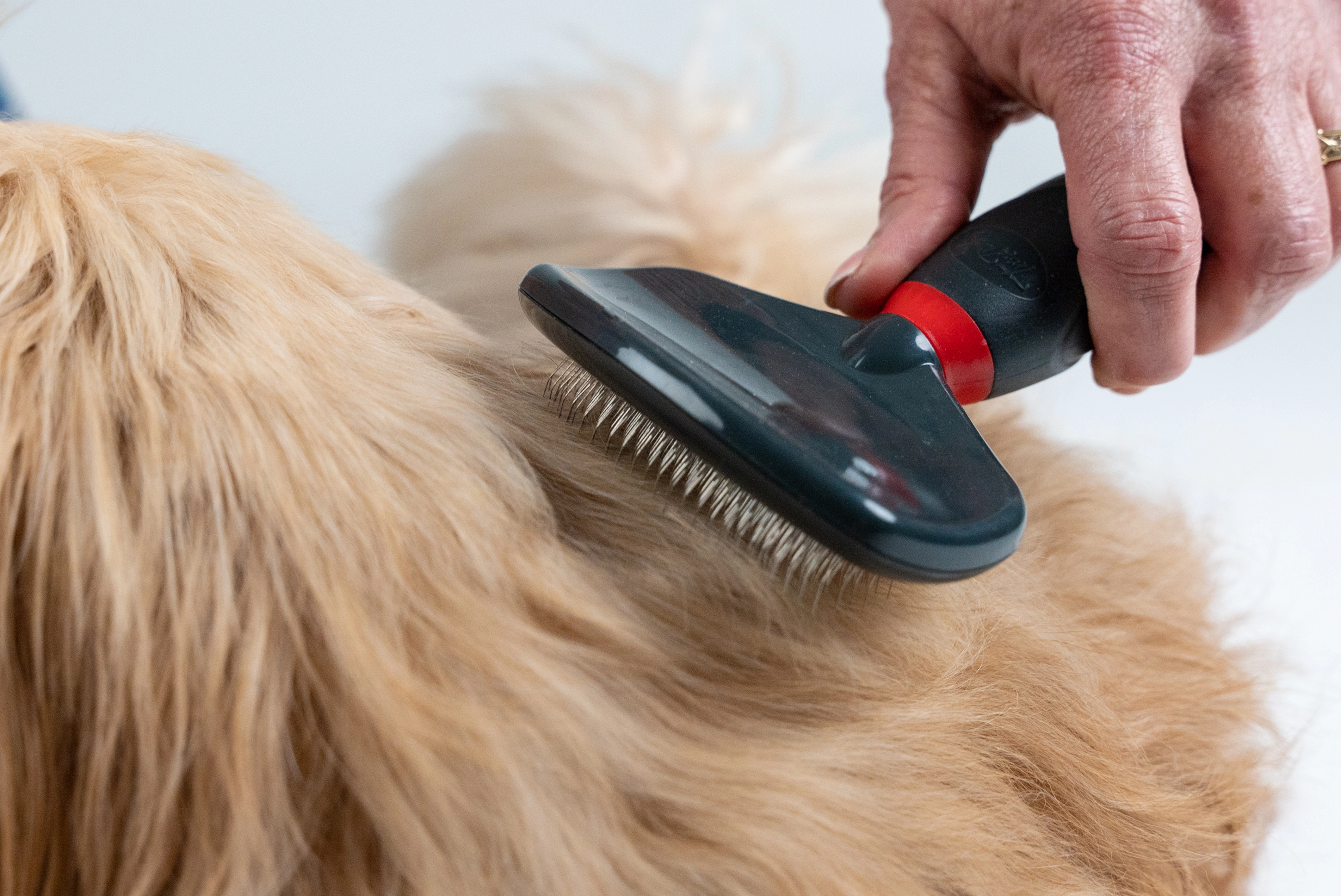 TrendPet Hundepflege Hundebuerste