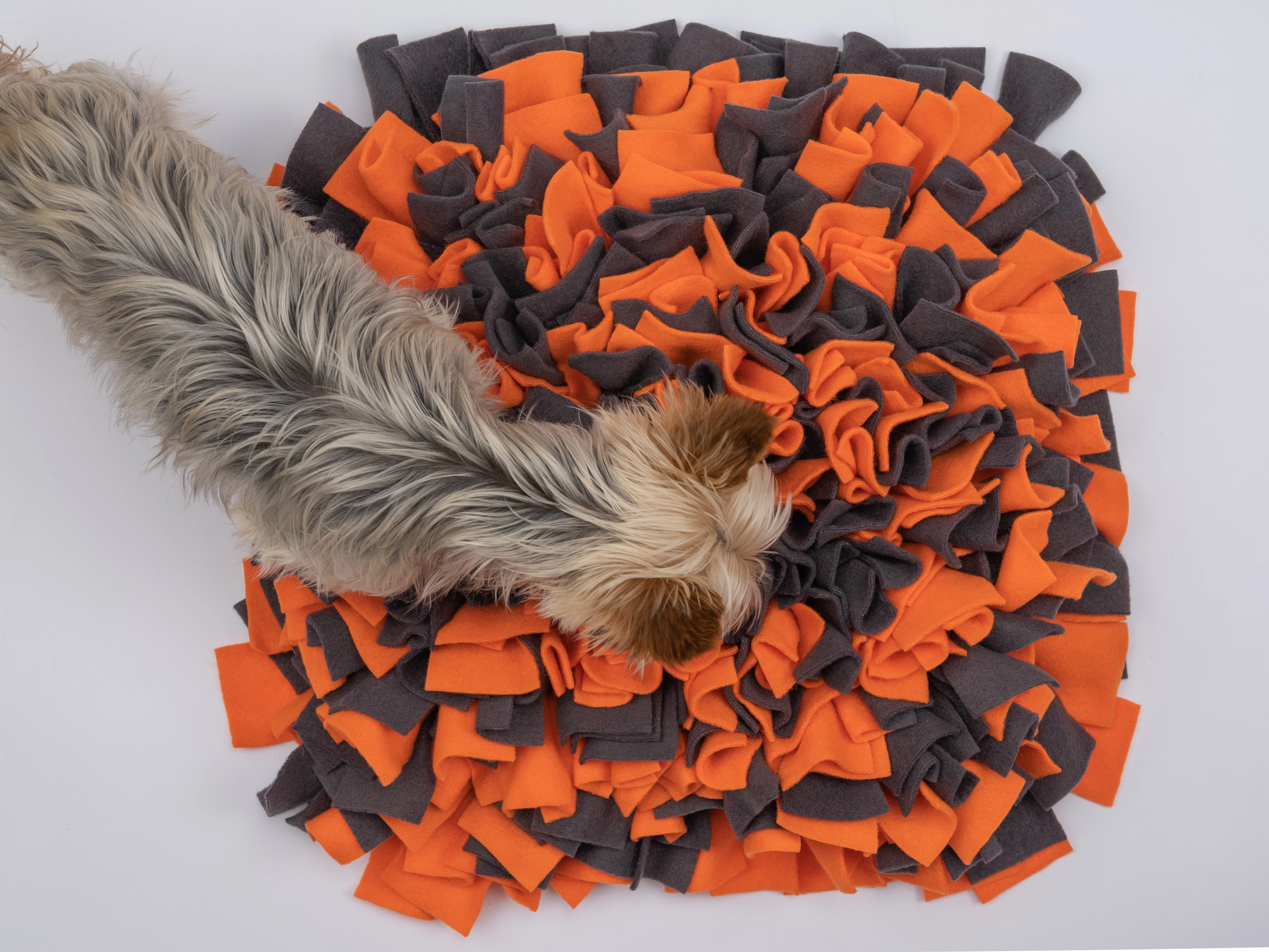 Schnueffelteppich von TrendPet