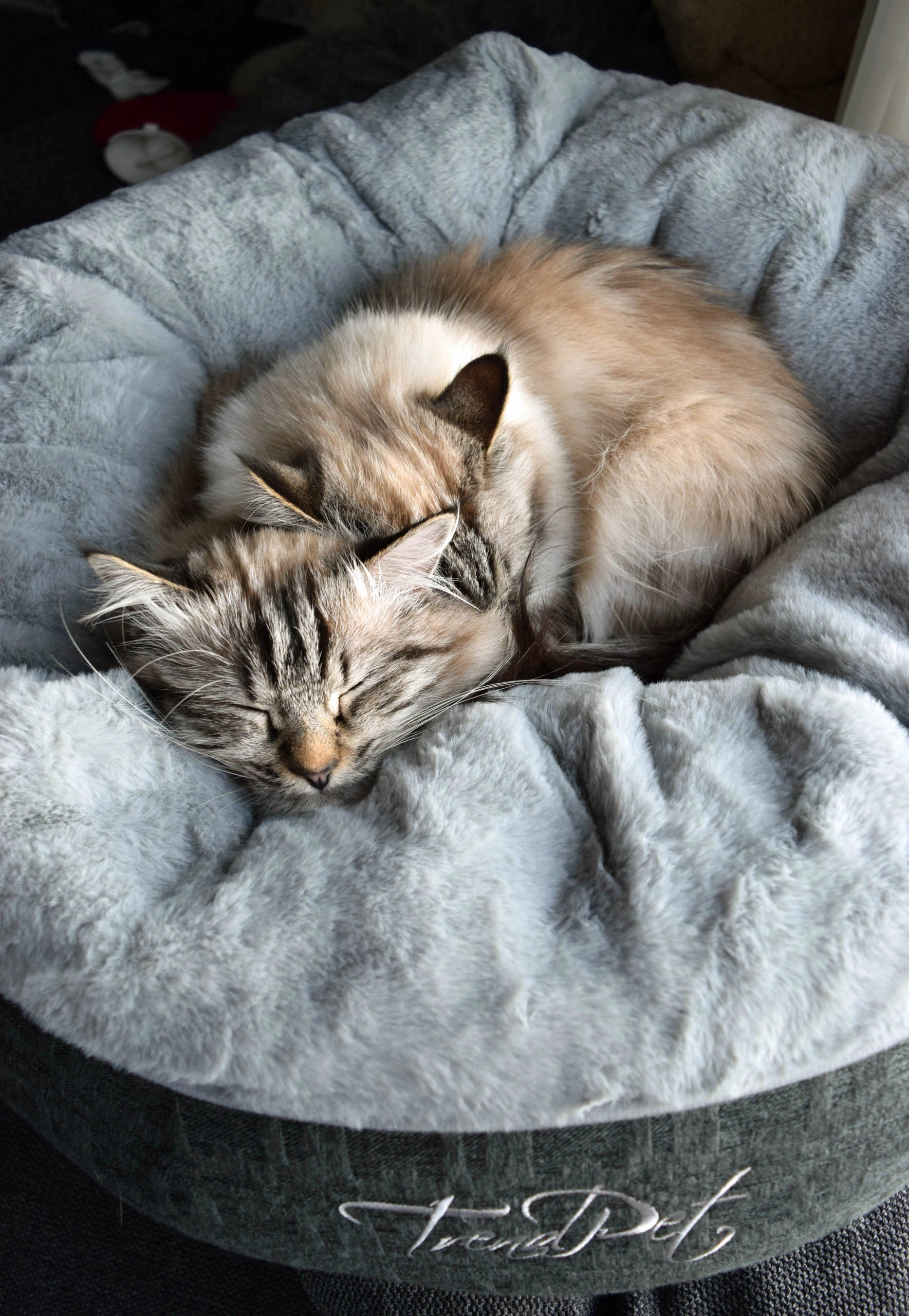 LunaBed von TrendPet