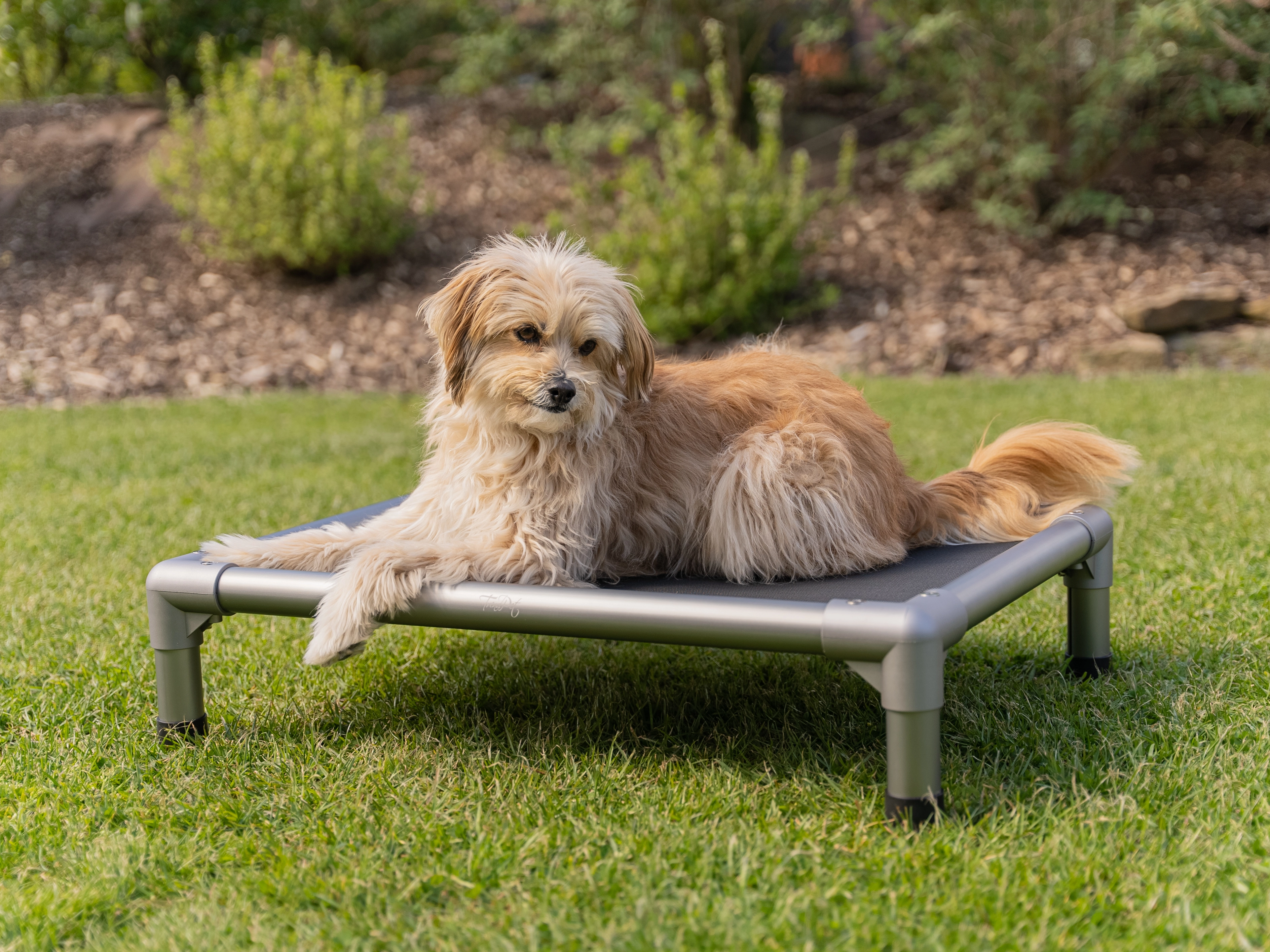 HighBed Hochbett fuer Hunde von TrendPet