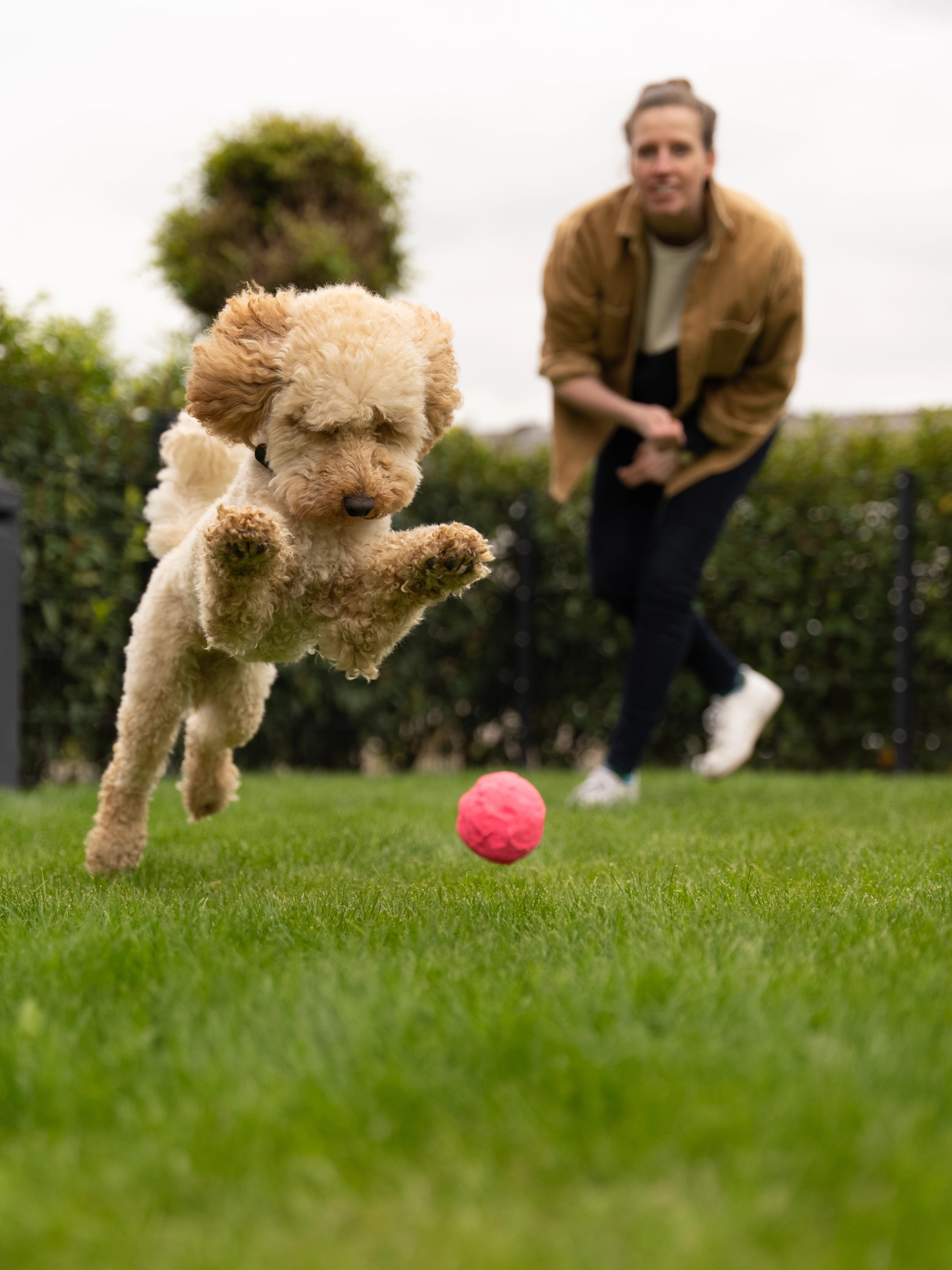 Wunderball von TrendPet