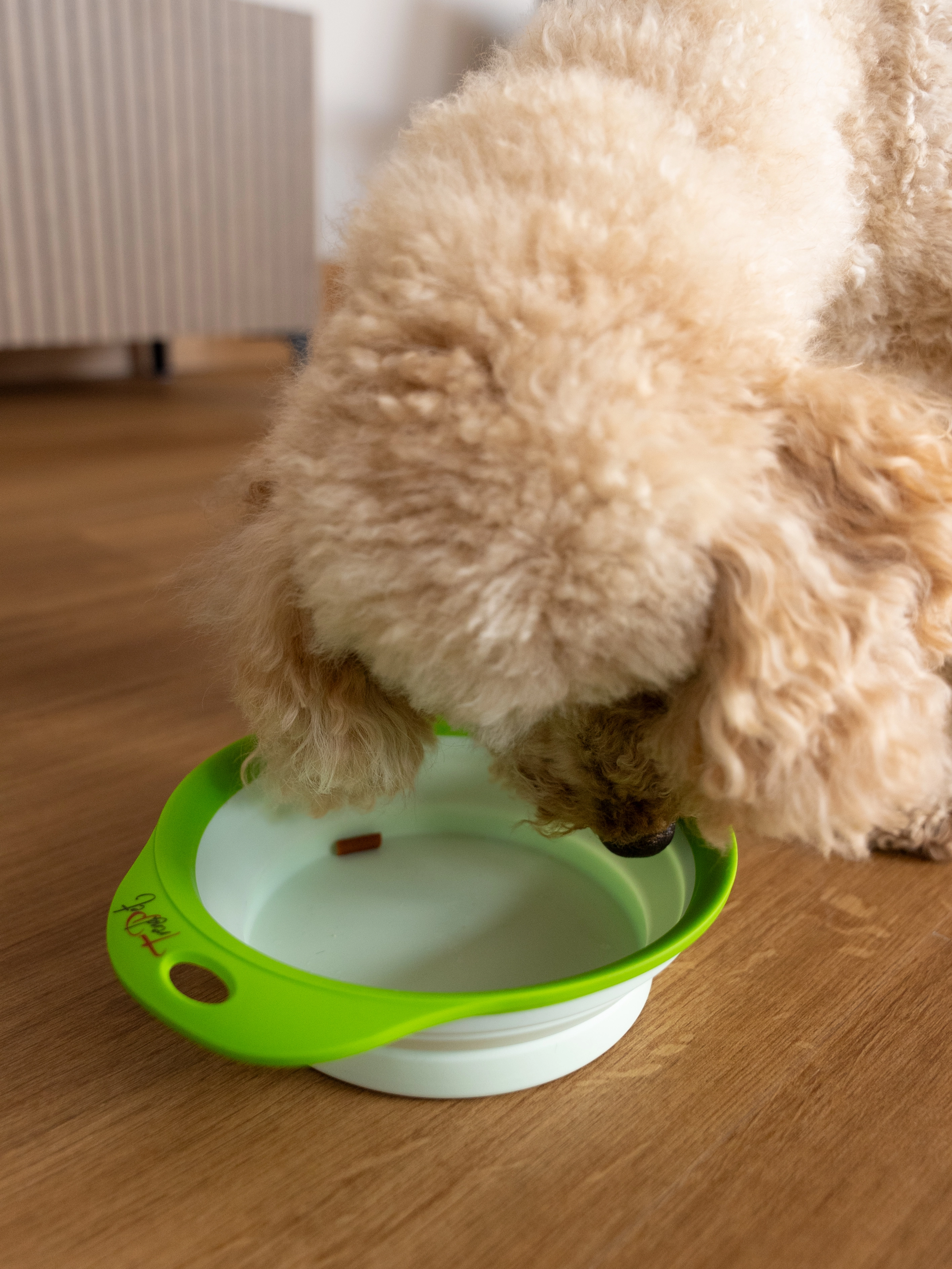 faltbarer Napf Travellino von TrendPet