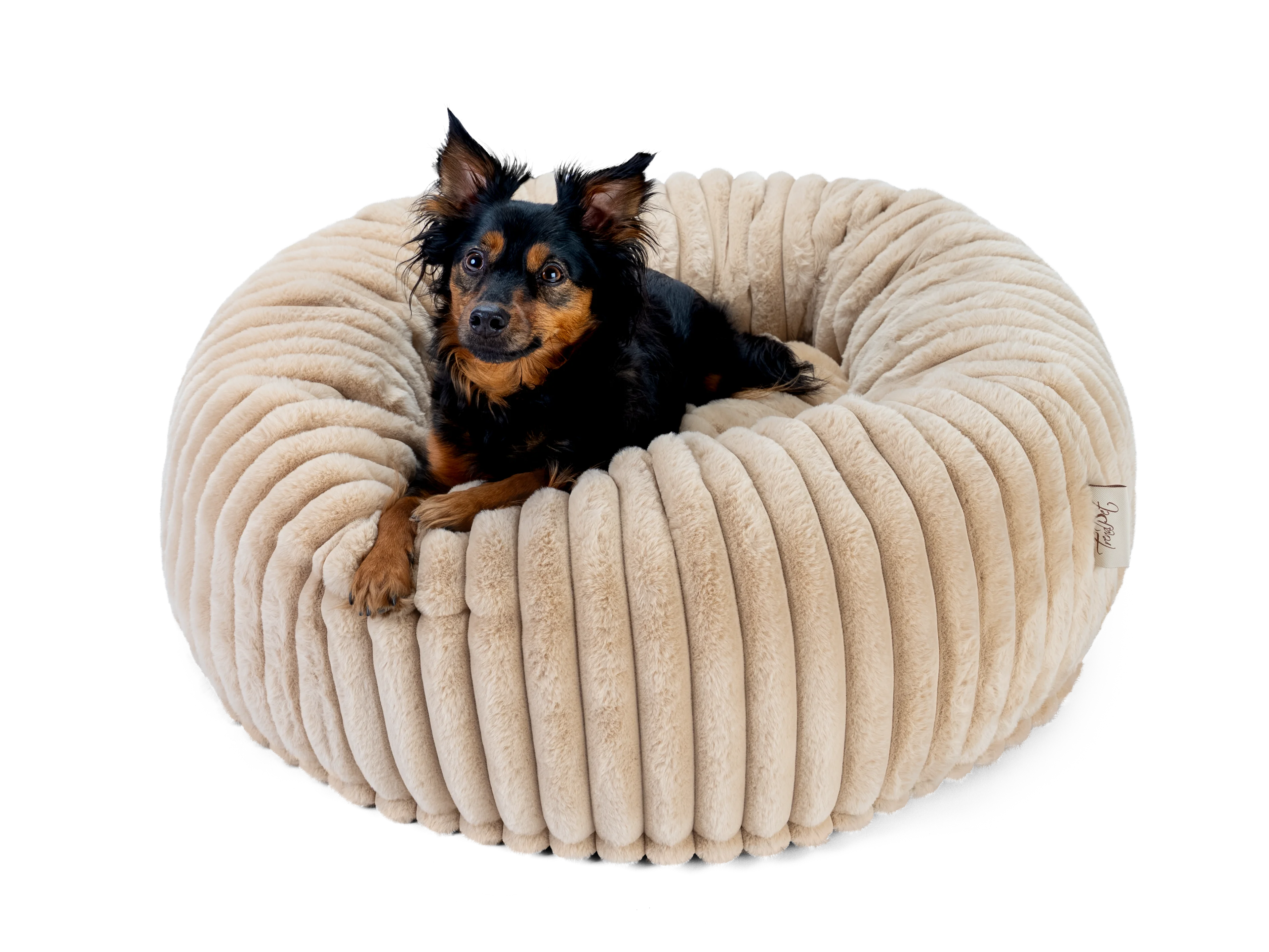 Biscuit Spot von TrendPet