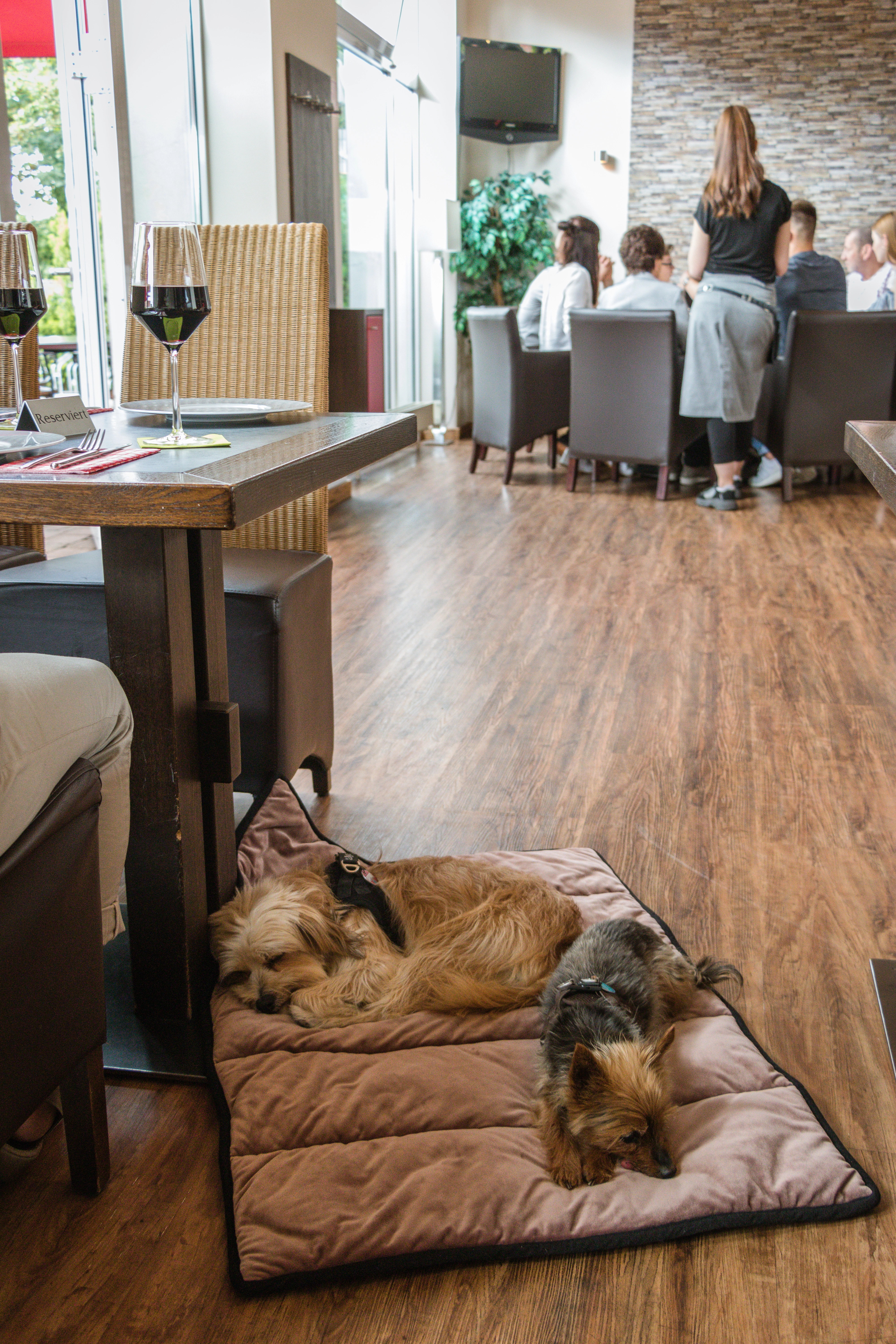 Meine Restaurantdecke