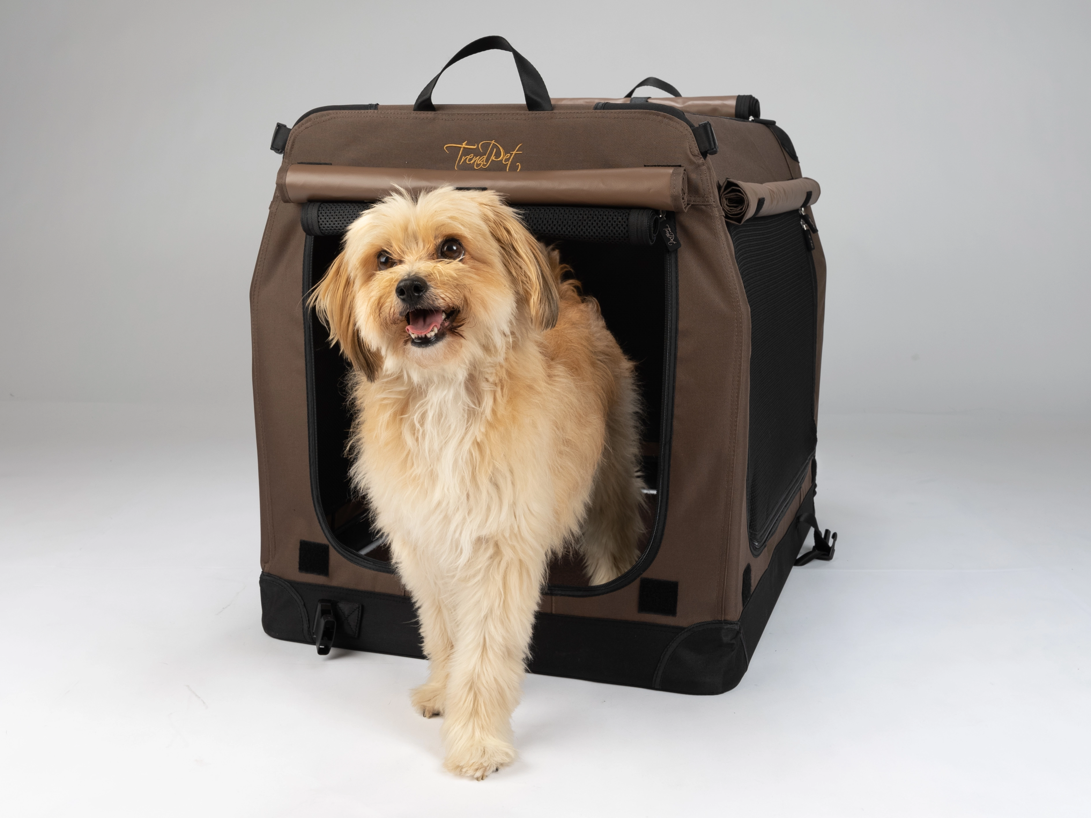 TPX-Hundebox von TrendPet