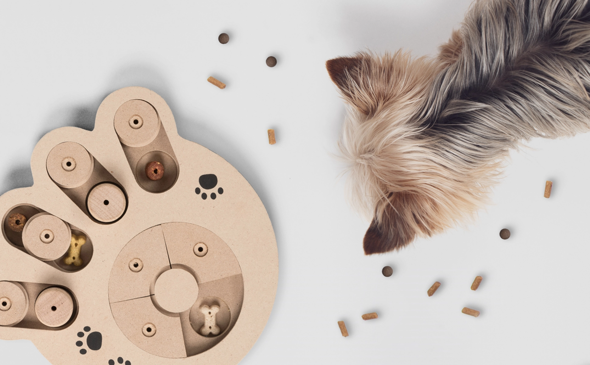 Intelli von TrendPet