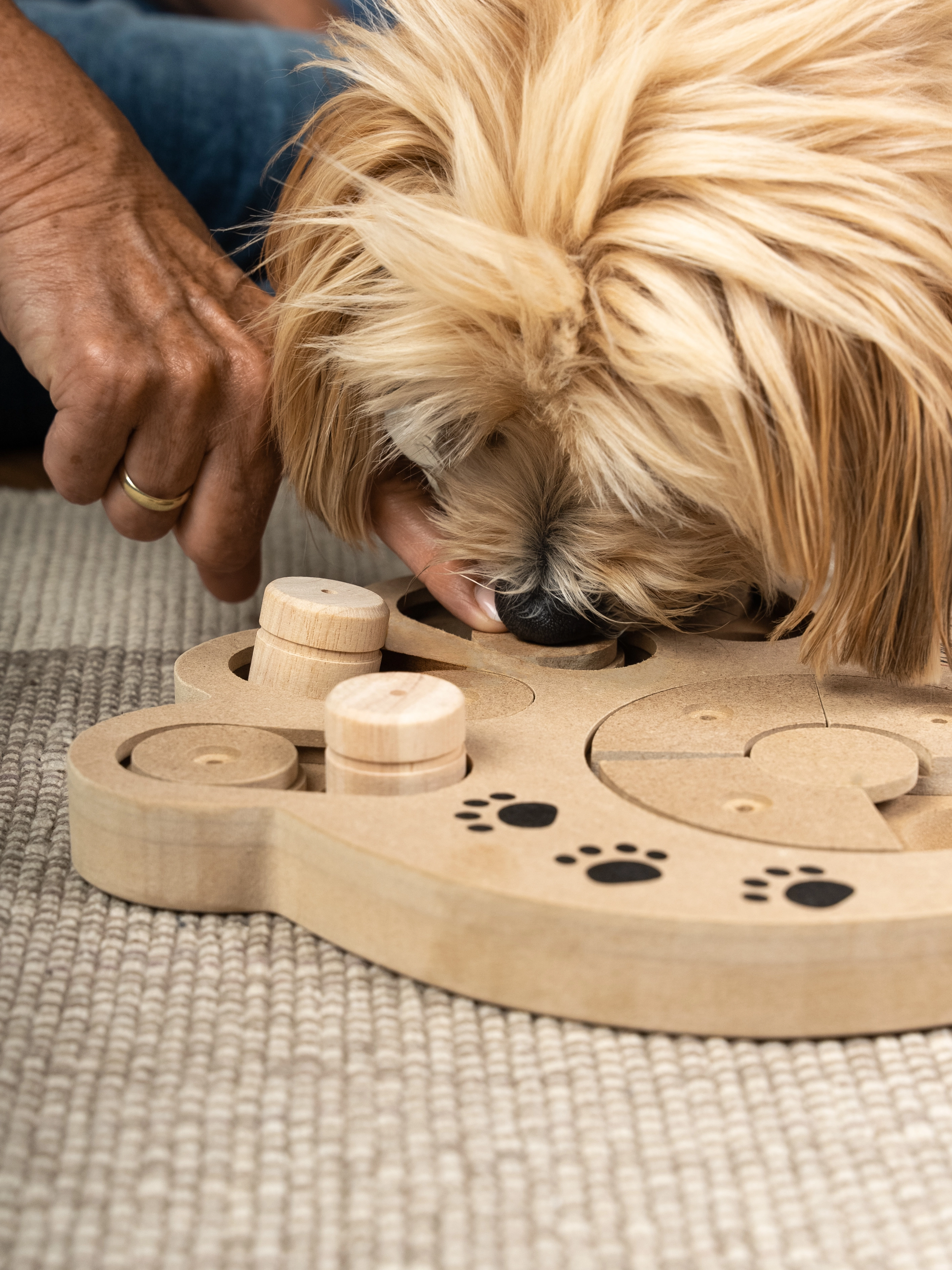 Intelli von TrendPet