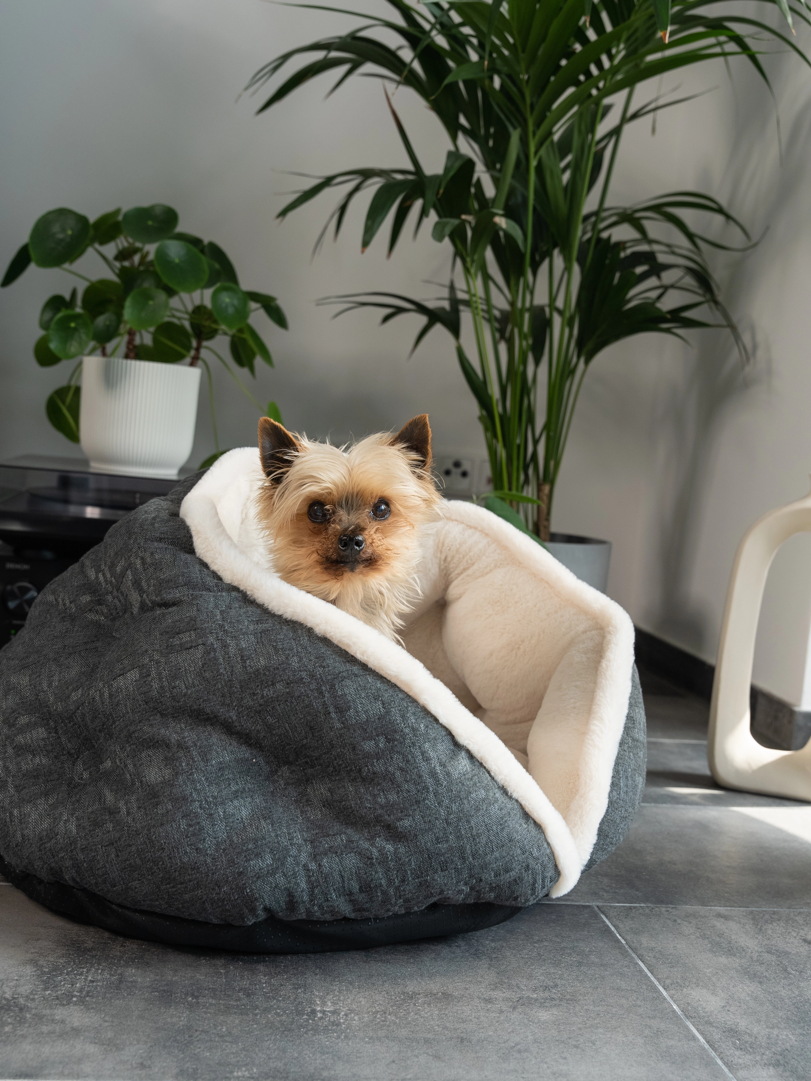 LunaNest von TrendPet