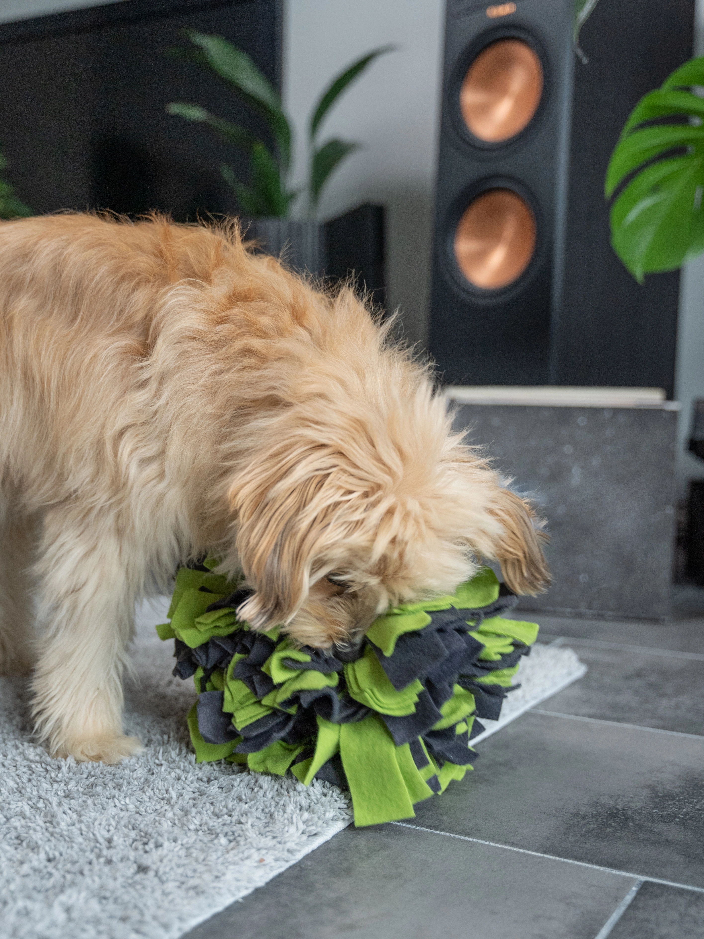 Schnüffelball von TrendPet