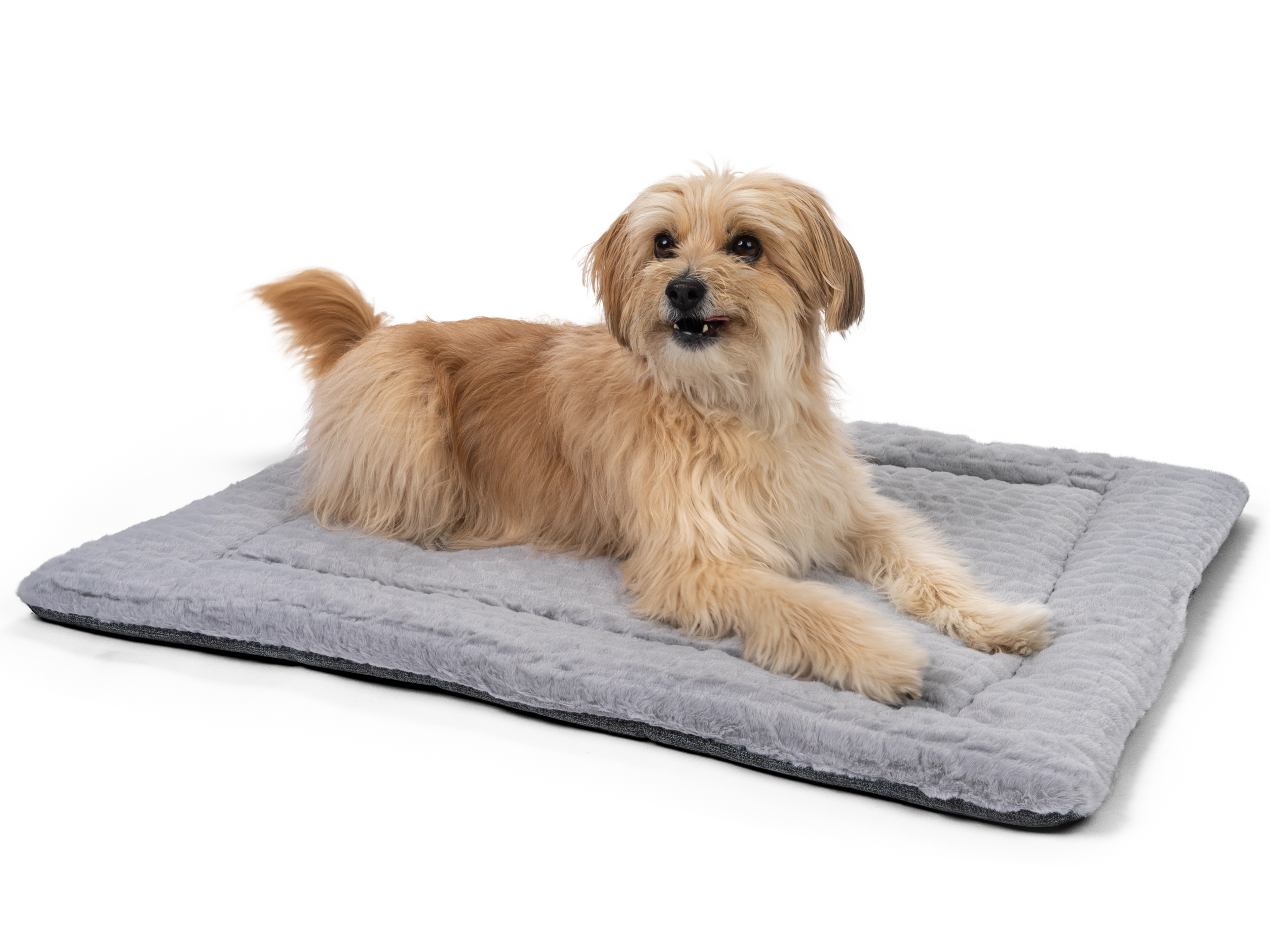 Heaven geposlterte Wendedecke für Hunde und Katzen von TrendPet